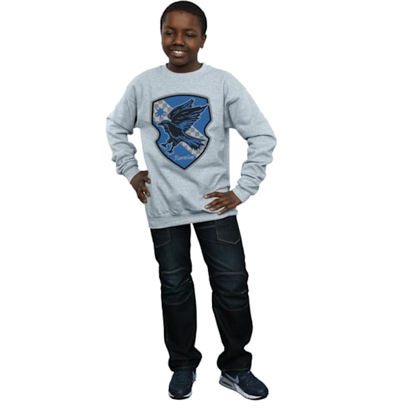 Harry Potter Pojkar Ravenclaw Crest Flat Sweatshirt 9-11 År Sp Sports Grey 9-11 Years