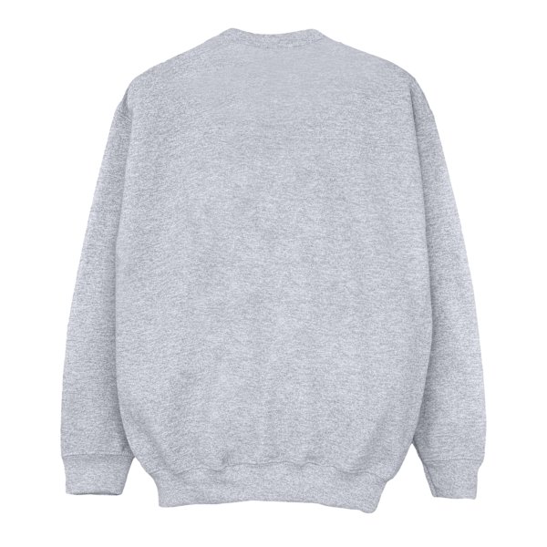 Harry Potter Pojkar Slytherin Crest Sweatshirt 5-6 År Sport Grå Sports Grey 5-6 Years