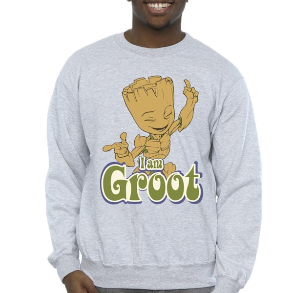 Guardians Of The Galaxy Herr Groot Dansande Sweatshirt XXL Sport Sports Grey XXL