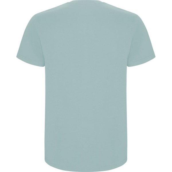 Roly Herr Stafford T-shirt XXL Tvättat Blå Washed Blue XXL