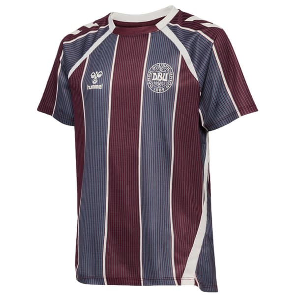 Hummel Barn/Barn Pre-Match Danmark T-shirt 9-10 år Mult Multicoloured 9-10 Years