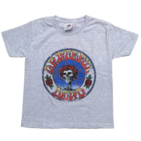 Grateful Dead Barnkläder/Barn Bertha Vintage Heather T-Shirt 9-1 Grey 9-10 Years