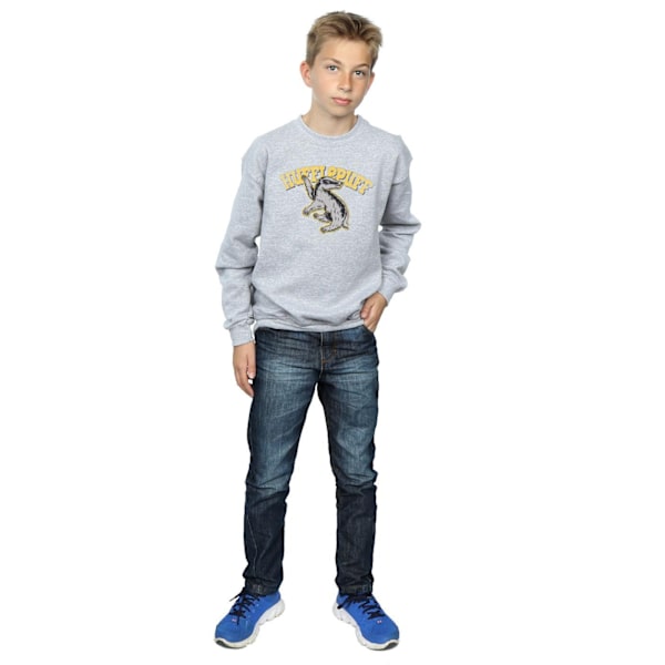 Harry Potter Pojkar Hufflepuff Sport Emblem Sweatshirt 7-8 År Sports Grey 7-8 Years