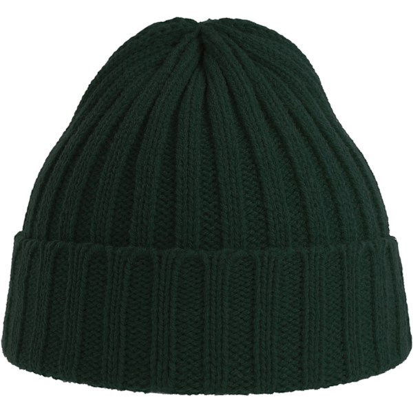 Atlantis Unisex Vuxen Shore Chunky Återvunnen Mössa En Storlek Bot Bottle Green One Size
