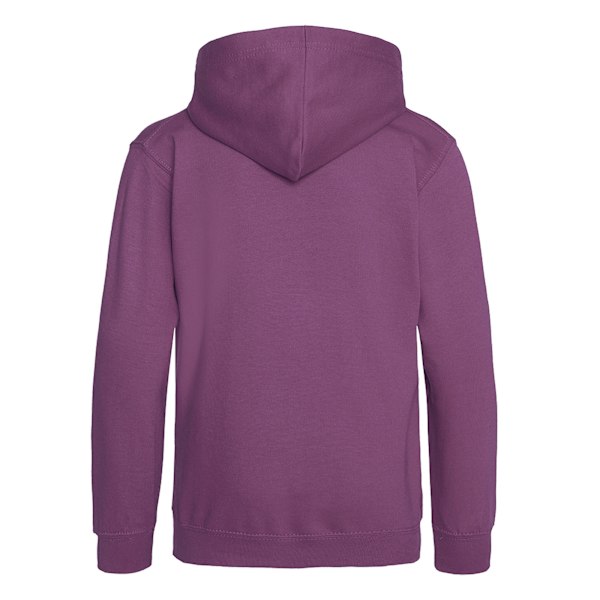 Awdis Unisex Barn Hoodie / Tröja / Skoluniform 3-4 År Plum 3-4 Years