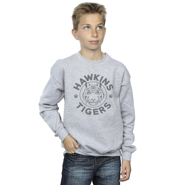 Netflix Boys Stranger Things Hawkins Grå Tiger Sweatshirt 12-1 Sports Grey 12-13 Years