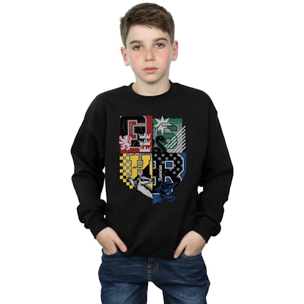 Harry Potter Pojkar Hogwarts Hus Sweatshirt 12-13 År Svart Black 12-13 Years