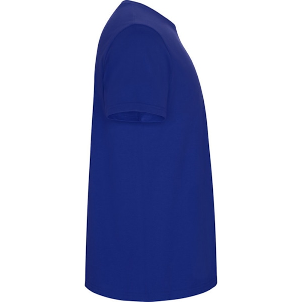 Roly Barn/Barn Stafford Kortärmad T-shirt 11-12 år Royal Blue 11-12 Years