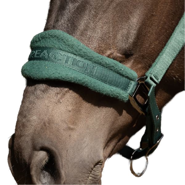 Hy ProReaction Hästgrimma Full Hunter Grön Hunter Green Full