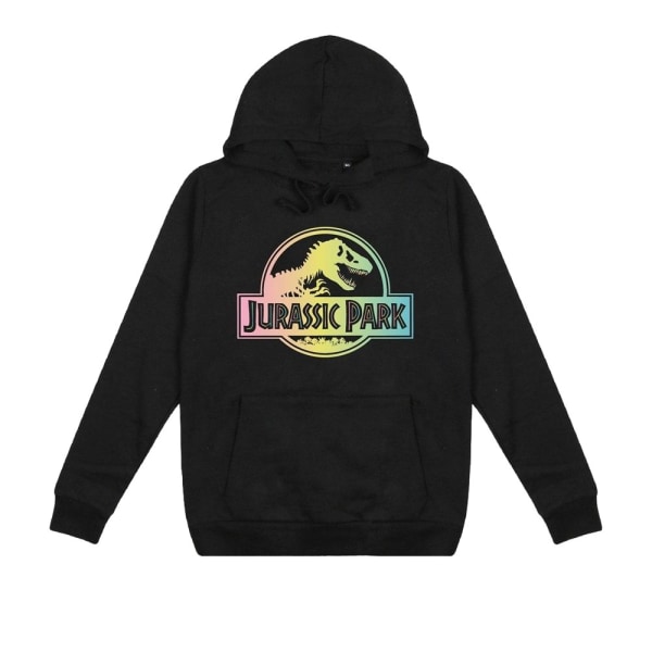 Jurassic Park Dam/Dam Gradient Logo Hoodie M Svart Black M