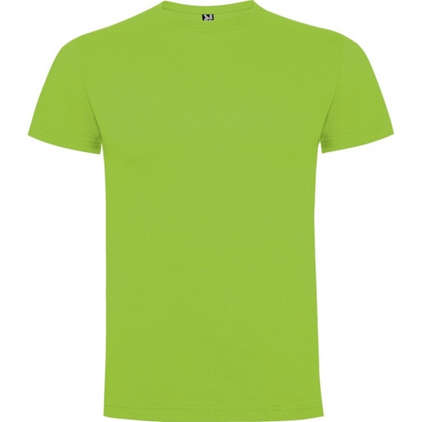 Roly Herr Dogo Premium T-shirt M Oasis Grön Oasis Green M