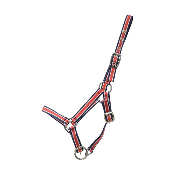 Hy Foal Plus Head Collar One Size Röd/Navy Red/Navy One Size