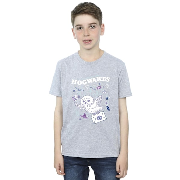 Harry Potter Pojkar Uggla Brev Från Hogwarts T-Shirt 3-4 År Sp Sports Grey 3-4 Years