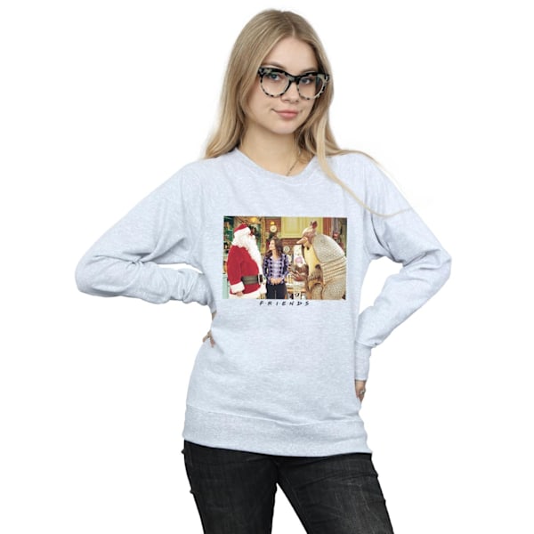 Friends Dam/Damer Jul Armadillo Sweatshirt M Sports G Sports Grey M