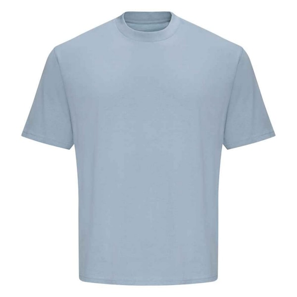 Awdis Unisex Vuxen 100 Oversized T-shirt L Himmelblå Sky Blue L