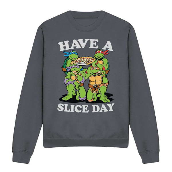 Teenage Mutant Ninja Turtles Unisex Vuxen Have A Slice Day Tröja Charcoal XL