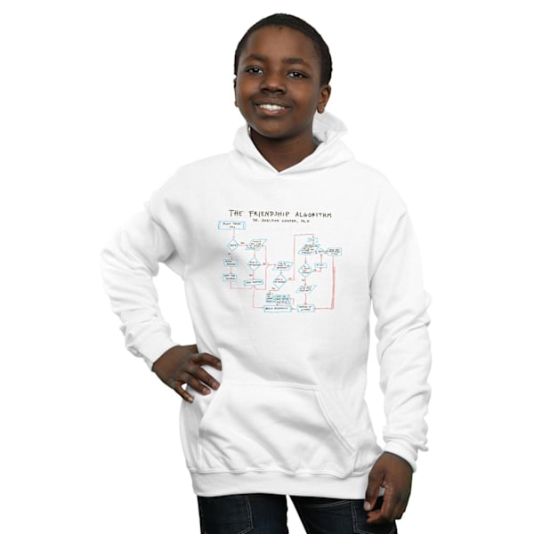 The Big Bang Theory Boys Friendship Algorithm Hoodie 7-8 år White 7-8 Years