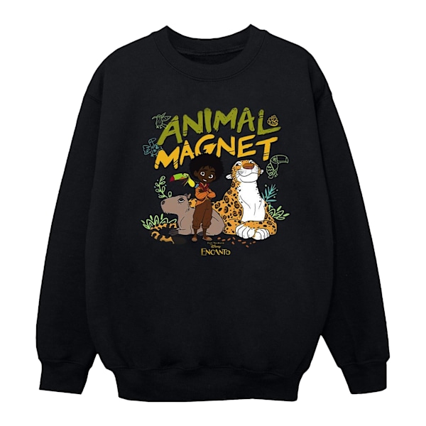 Disney Girls Encanto Animal Magnet Sweatshirt 9-11 år Svart Black 9-11 Years