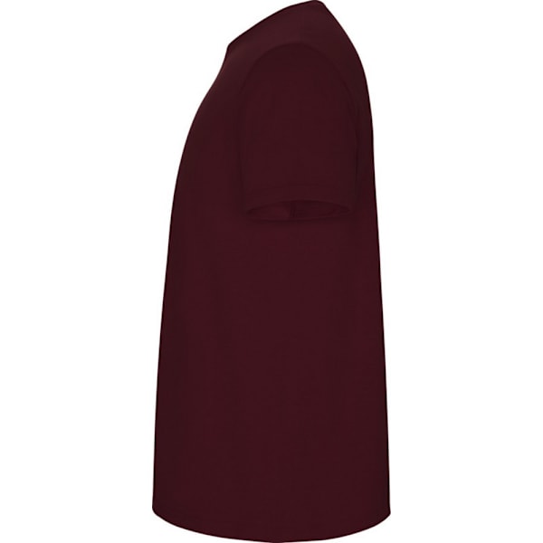 Roly Barn/Barn Stafford Kortärmad T-shirt 11-12 År Garnet 11-12 Years