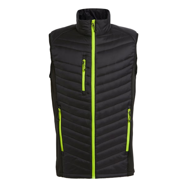 Regatta Navigate Quiltad Hybridväst Herr L Svart/Limegrön Black/Lime Green L