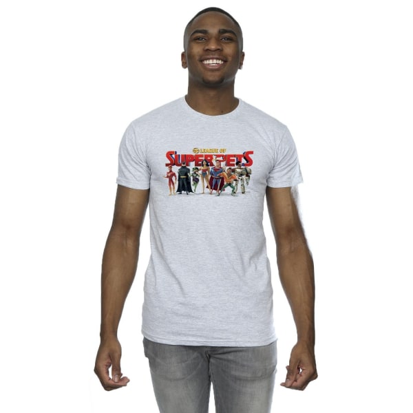 DC Comics DC League Of Super-Pets Group Logo T-shirt för män - S Sports Grey S