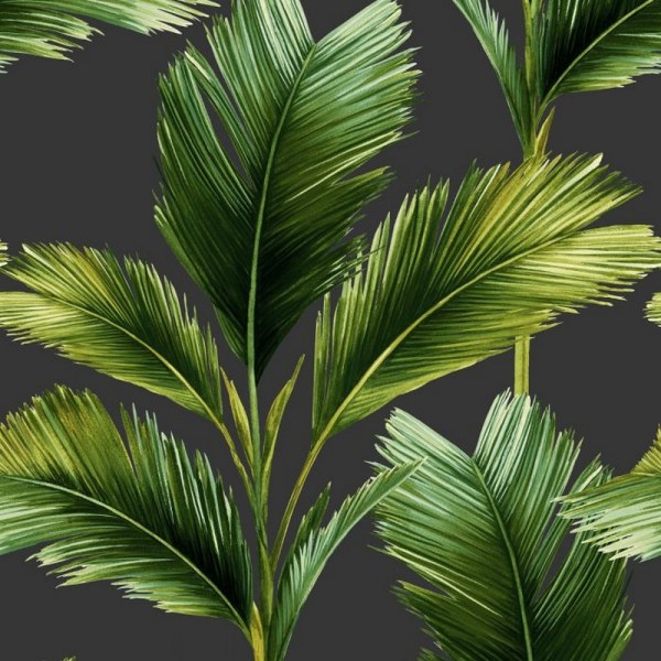 Belgravia Kailani Leaf Tapet One Size Charcoal/Grön Charcoal/Green One Size
