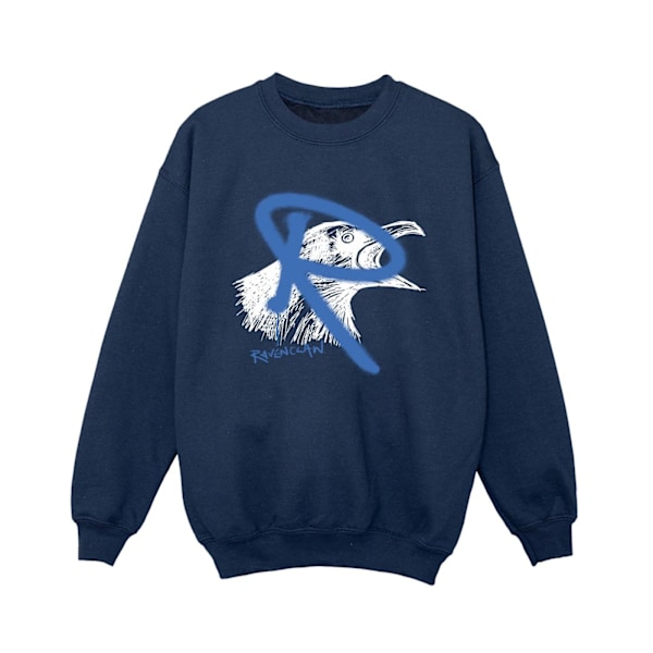 Harry Potter Boys Ravenclaw Pop Spray Sweatshirt 3-4 år Marinblå Navy Blue 3-4 Years