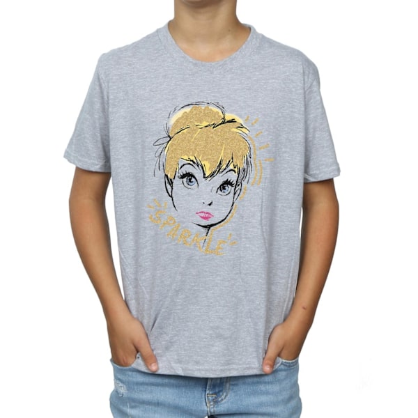 Disney Boys Tinkerbell Sparkle T-Shirt 12-13 år Sports Grey Sports Grey 12-13 Years