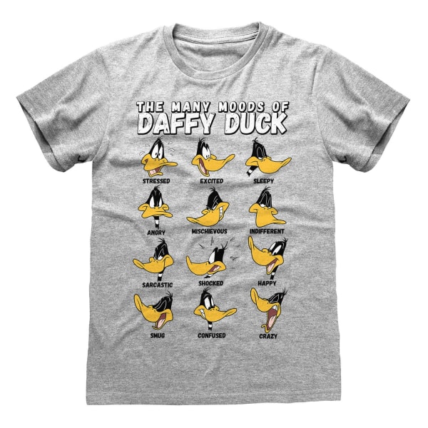 Looney Tunes Dam/Dam Många humör Daffy Duck Lös T-shirt Grey Heather XXL