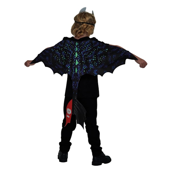 Hur du tränar din drake: Den dolda världen Barn/Barn Tandlös dräkttillbehör Set En storlek Svart Black One Size