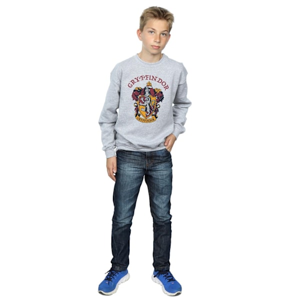 Harry Potter Pojkar Gryffindor Bomullströja 12-13 År Spor Sports Grey 12-13 Years
