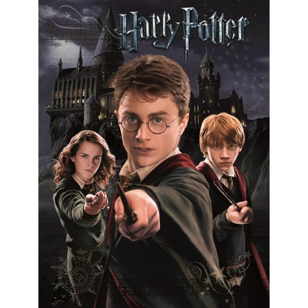 Harry Potter Print 40cm x 50cm Svart/Beige Black/Beige 40cm x 50cm