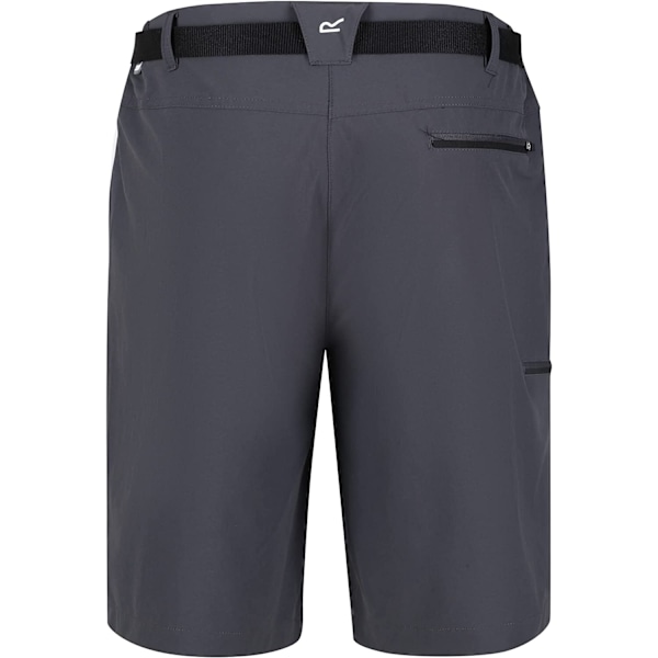 Regatta Herr Xert III Stretch Shorts 38 Tätgrå Seal Grey 38