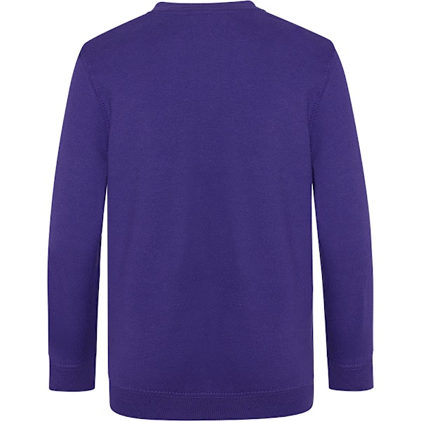 AWDis Academy Barn/Barn Junior V-halsad Skoltröja/Sweatshirt Purple 7-8 Years