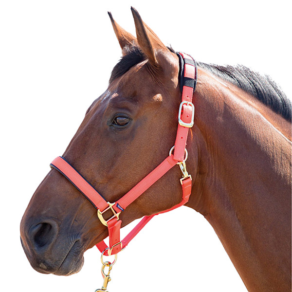 Shires Topaz Nylon Hästgrimma X Small Pony Orange Orange X Small Pony