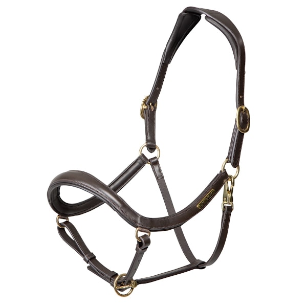 Velociti Rapida Curved Läder Hästgrimma Ponny Havanna Havana Pony