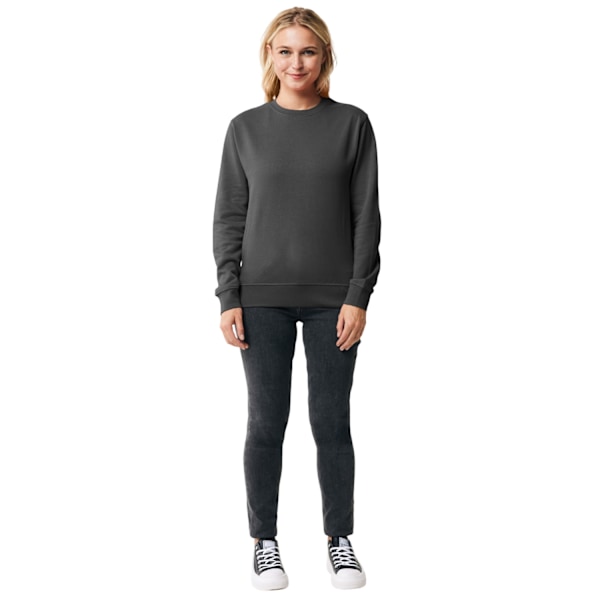 Iqoniq Unisex Vuxen Etosha Återvunnen Bomull Lätt Sweatshirt Anthracite XL