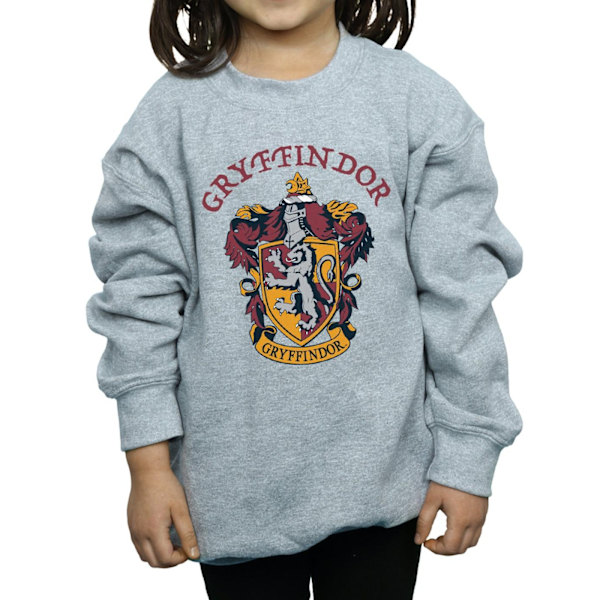 Harry Potter T-shirt för flickor Gryffindor Bomull 9-11 år Spor Sports Grey 9-11 Years