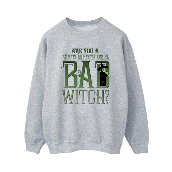 Trollkarlen från Oz Dam/Dam Wicked Bad Witch Sweatshirt M Sport Sports Grey M
