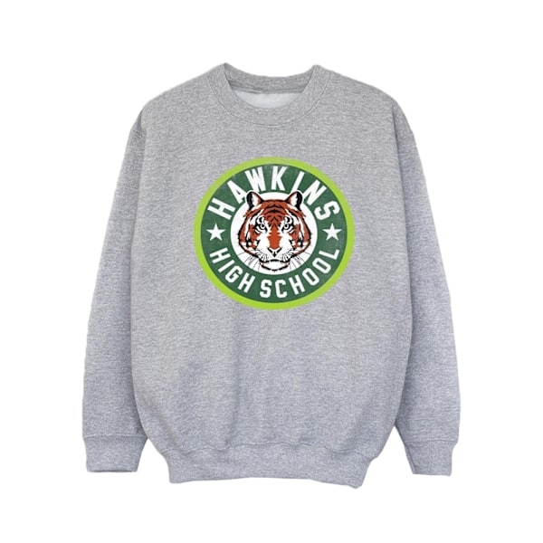 Netflix Girls Stranger Things Hawkins Tiger Circle Sweatshirt 1 Sports Grey 12-13 Years