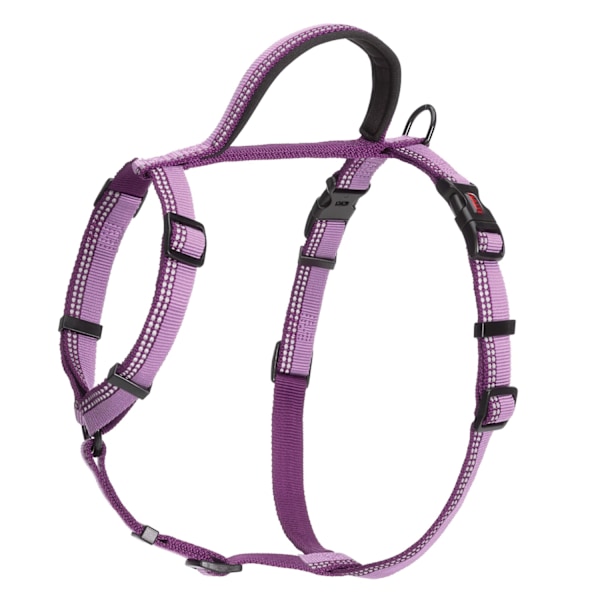 Halti Walking Tvåfärgad Hundsele Liten - Bröst: 43cm-60cm Lila Purple Small- Chest: 43cm-60cm