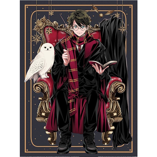 Harry Potter: Wizard Dynasty Chair Print 40cm x 30mm Multicolou Multicoloured 40cm x 30mm
