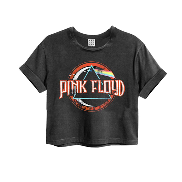 Amplified Womens/Ladies On The Run Pink Floyd Crop T-Shirt XS C Charcoal XS