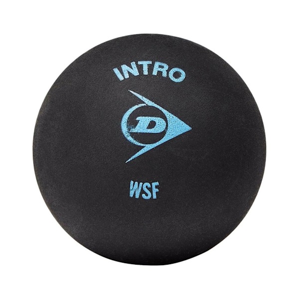 Dunlop Intro Squashbollar (12-pack) One Size Svart Black One Size