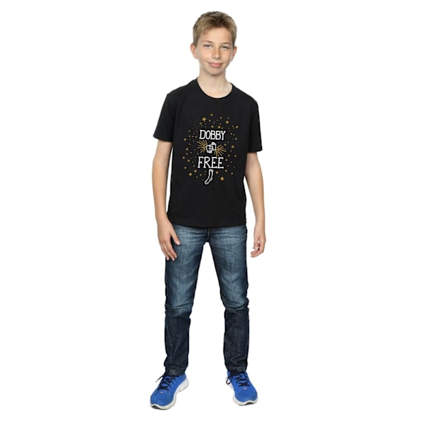 Harry Potter Boys Dobby Is Bomull T-shirt 12-13 År Svart Black 12-13 Years