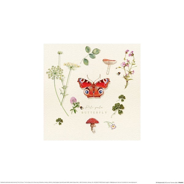 Summer Thornton Pili Pala Butterfly Print 40cm x 40cm x 0.21cm White/Green/Red 40cm x 40cm x 0.21cm