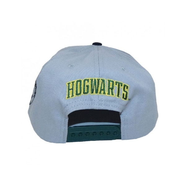 Harry Potter Slytherin Snapback Cap One Size Grå/Grön Grey/Green One Size