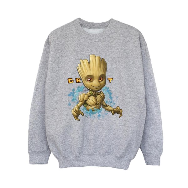 Guardians Of The Galaxy Boys Groot Flowers Sweatshirt 7-8 år Sports Grey 7-8 Years