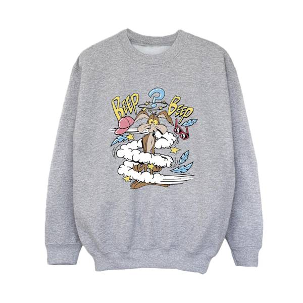 Looney Tunes Boys Coyote Daze Sweatshirt 9-11 år Sports Grey Sports Grey 9-11 Years