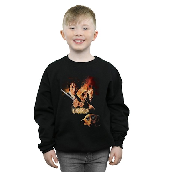 Harry Potter Pojkar Chamber Of Secrets Poster Tröja 12-13 År Black 12-13 Years